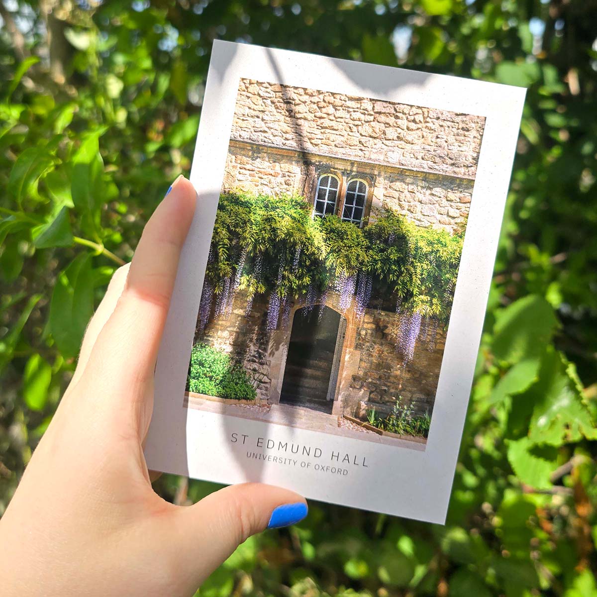 Recycled St Edmund Hall Oxford postcard with photo of stone college building, wisteria-covered entrance and clean white postcard border.